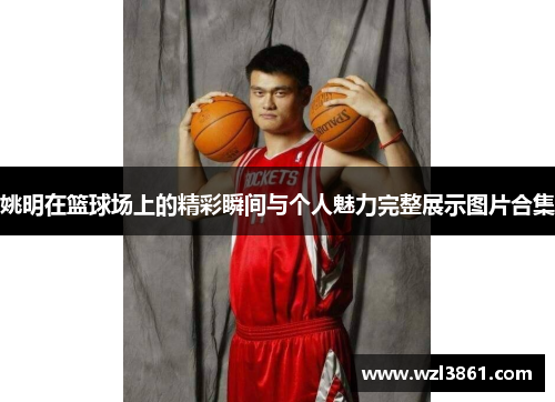 姚明在篮球场上的精彩瞬间与个人魅力完整展示图片合集
